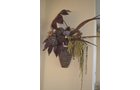 Property photo 82 - PERSONAL PROPERTY AUCTION IN ALLEN COUNTY, INDIANA